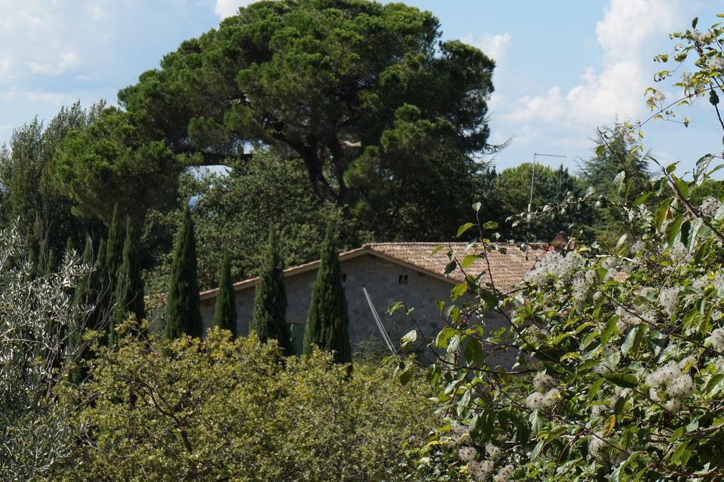 Casa Lucia In Chianti Bed & Breakfast Vagliagli Bagian luar foto