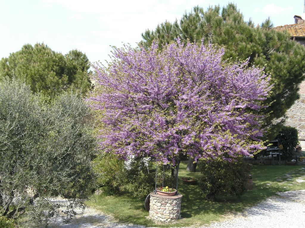 Casa Lucia In Chianti Bed & Breakfast Vagliagli Bagian luar foto